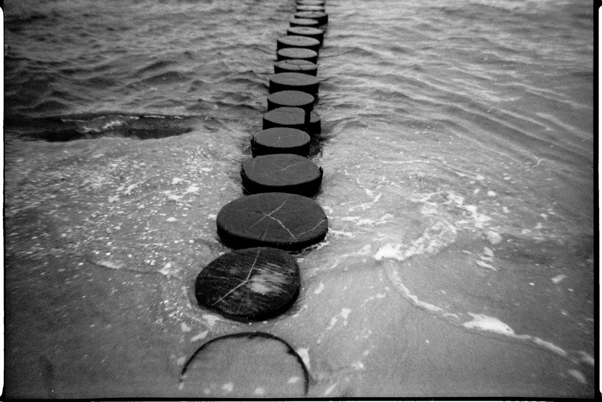 Washi W (35mm - EI 25 - Disposable)