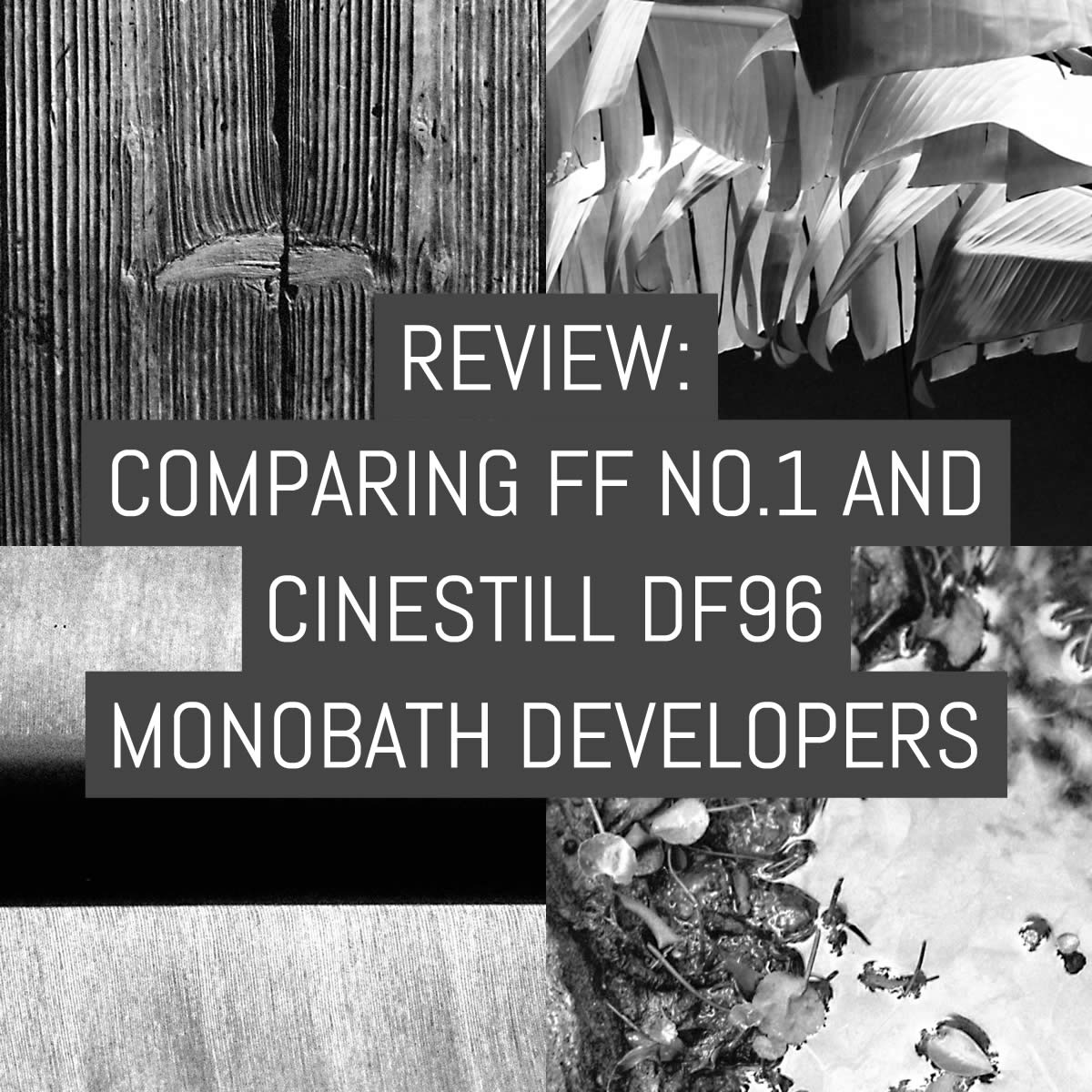 Review: Comparing FF No.1 and Cinestill Df96 monobath developers