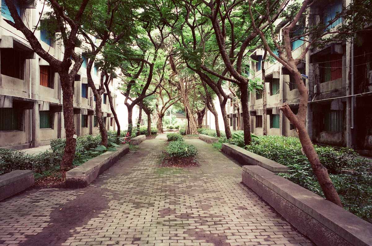 Photography: Last breath – Shot on Kodak VISION3 250D 5207 at EI 250 (35mm format)