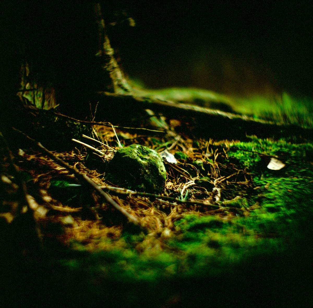Photography: Meeting place – Shot on Fuji Velvia 50 RVP50 at EI 50 (120 format)