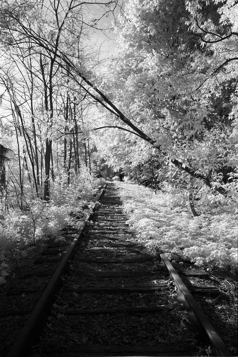 5 Frames… With Rollei Infrared 400 (EI 400 / 35 format / Nikon FE)