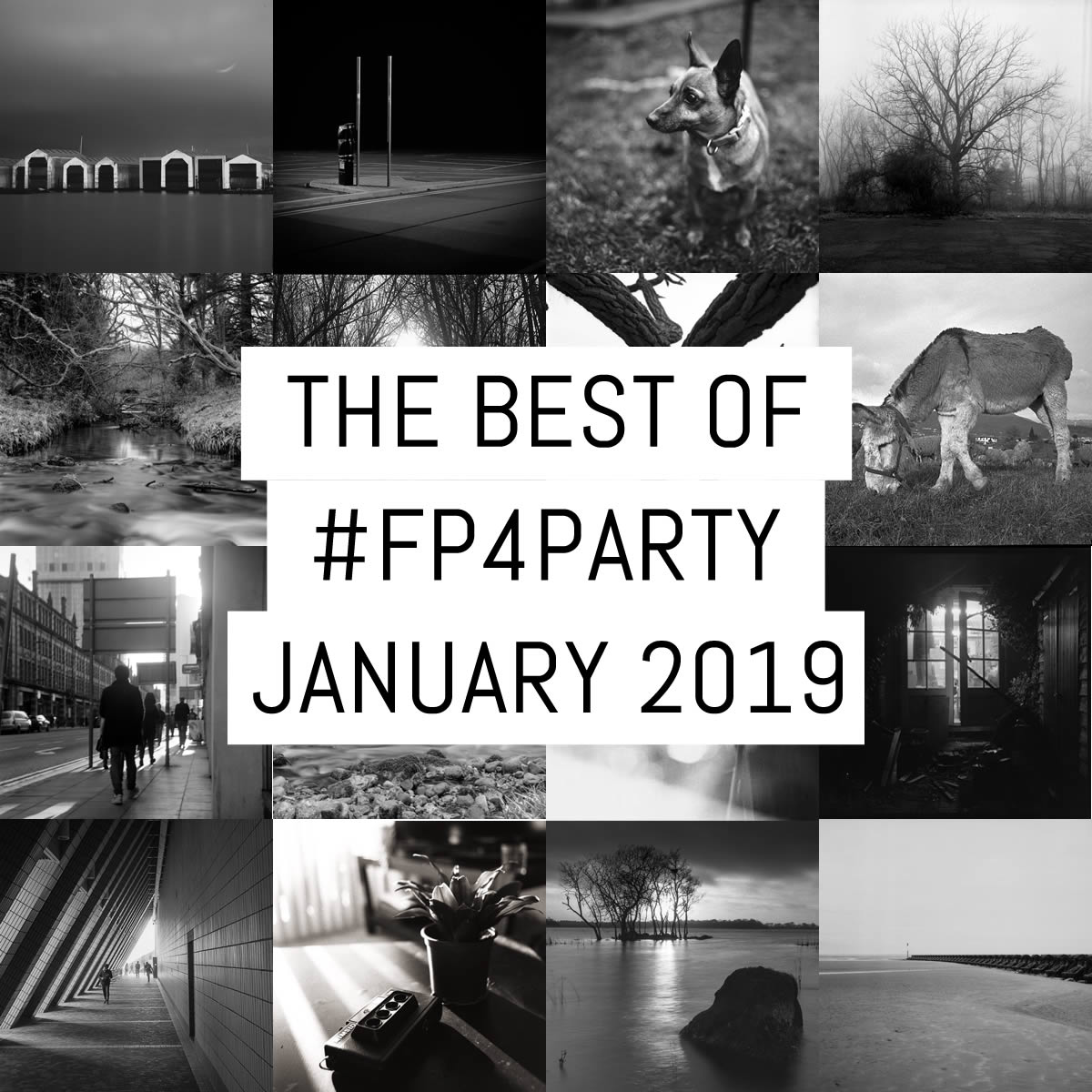 The best of #FP4party January 2019
