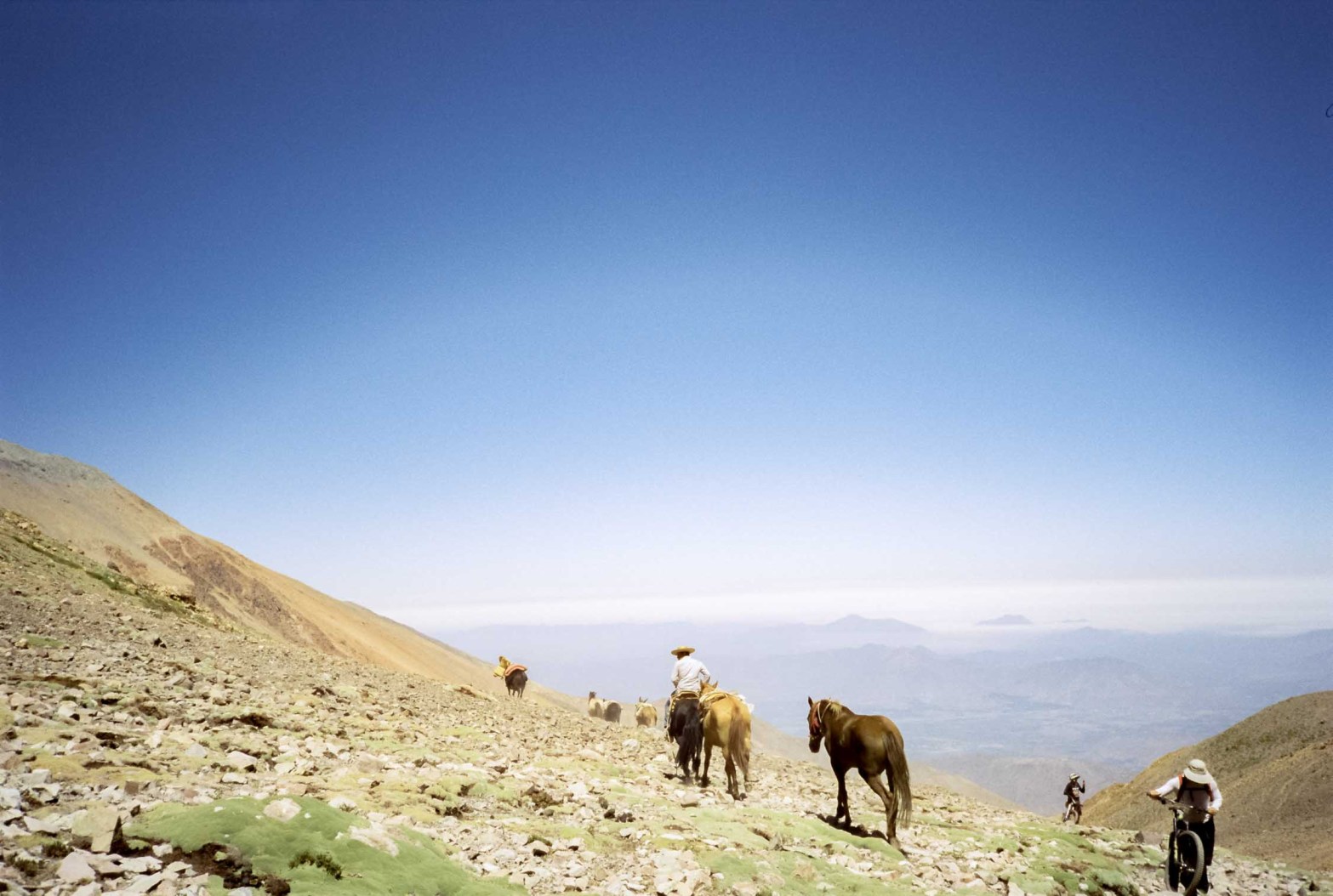 Chile - Olympus XA2, Cinestill 50D