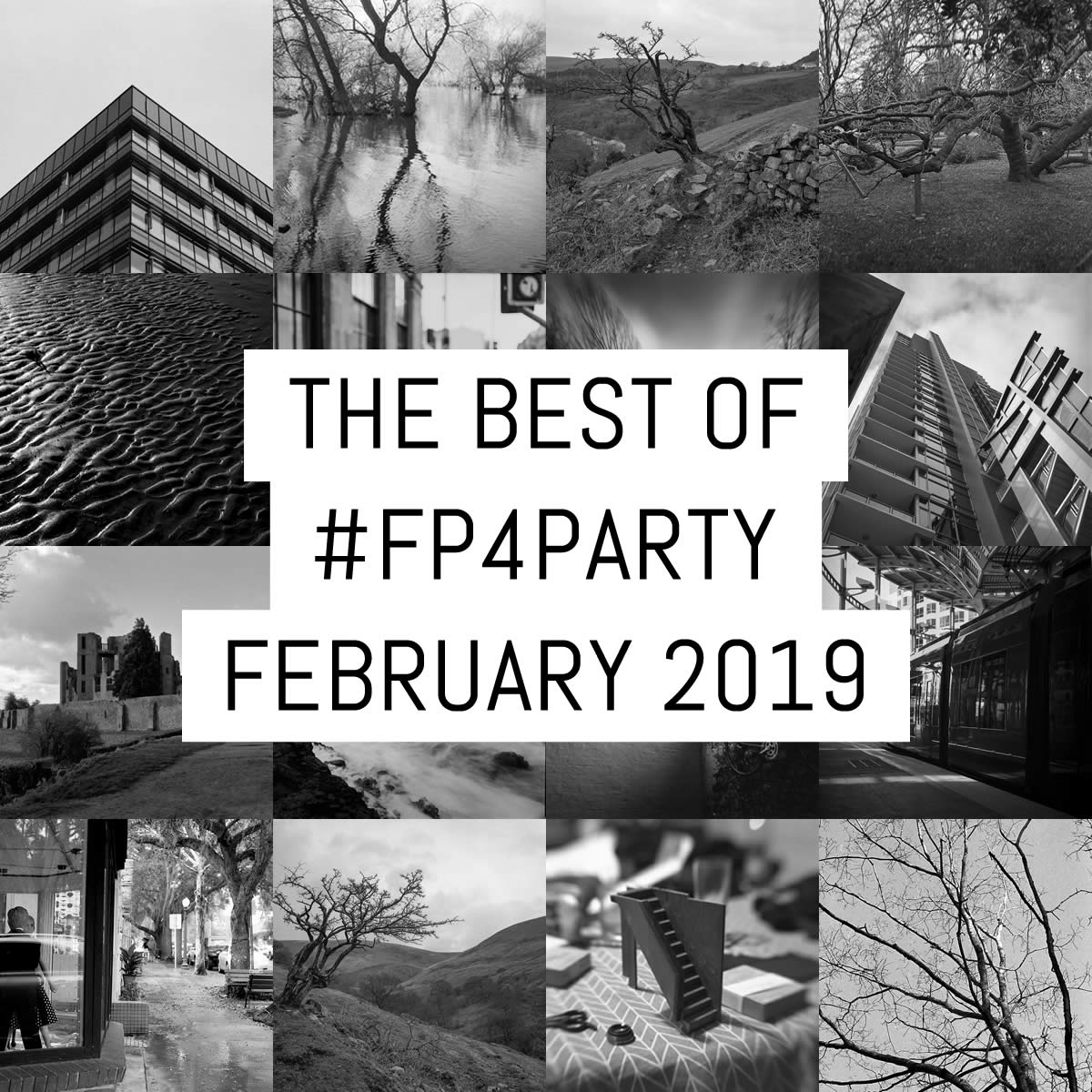 The best of #FP4party February 2019