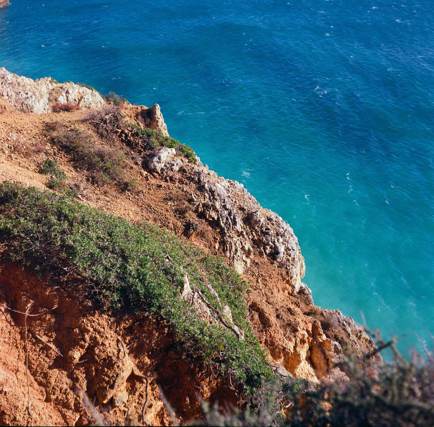 5 Frames… With Kodak Ektar 100 (EI 100 / 120 format / Yashica-Mat LM)