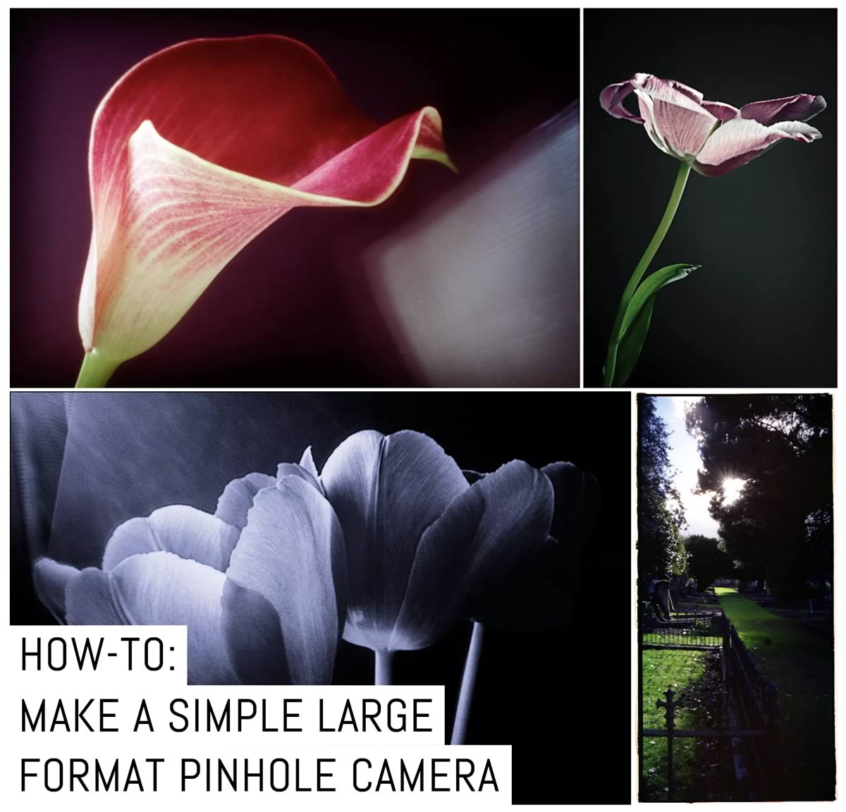 How to: Make a simple large format pinhole camera