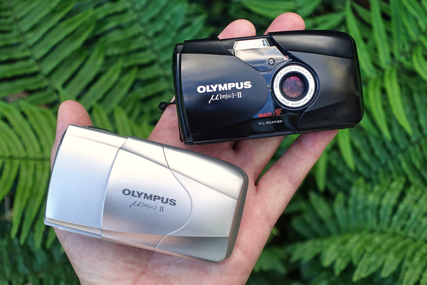 Compact camera mega test: Olympus MJU II / Olympus Stylus Epic, a