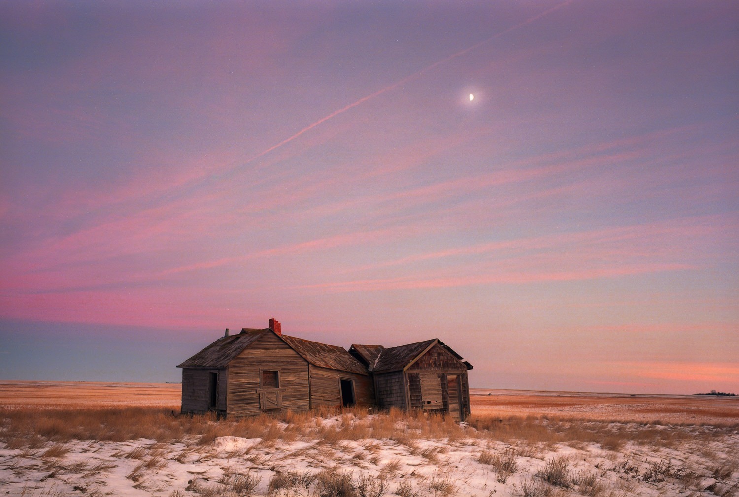 EMULSIVE Interview #205: I am Jeremy Calow and this is why I shoot film