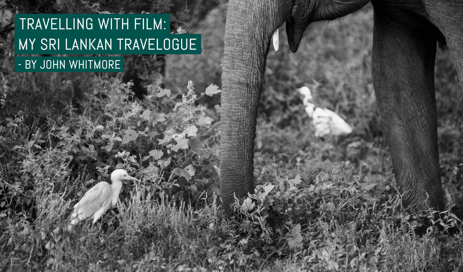 Travelling with film: My Sri Lankan travelogue