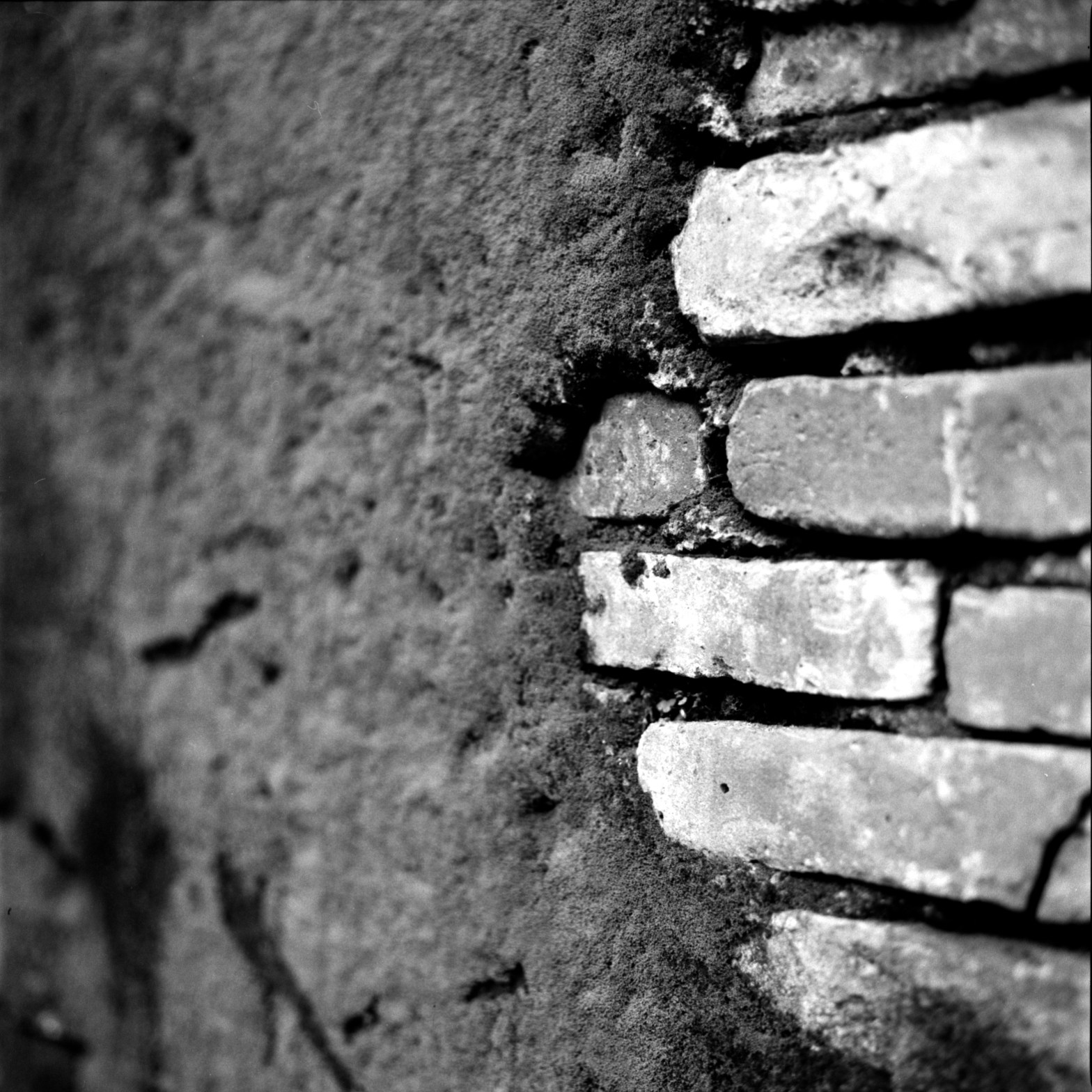 Photography: Nature always wins – Shot on CatLABS X-Film 80 at EI 50 (120 format)