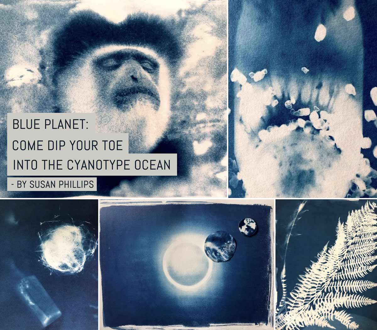Blue Planet: Come dip your toe into the Cyanotype ocean