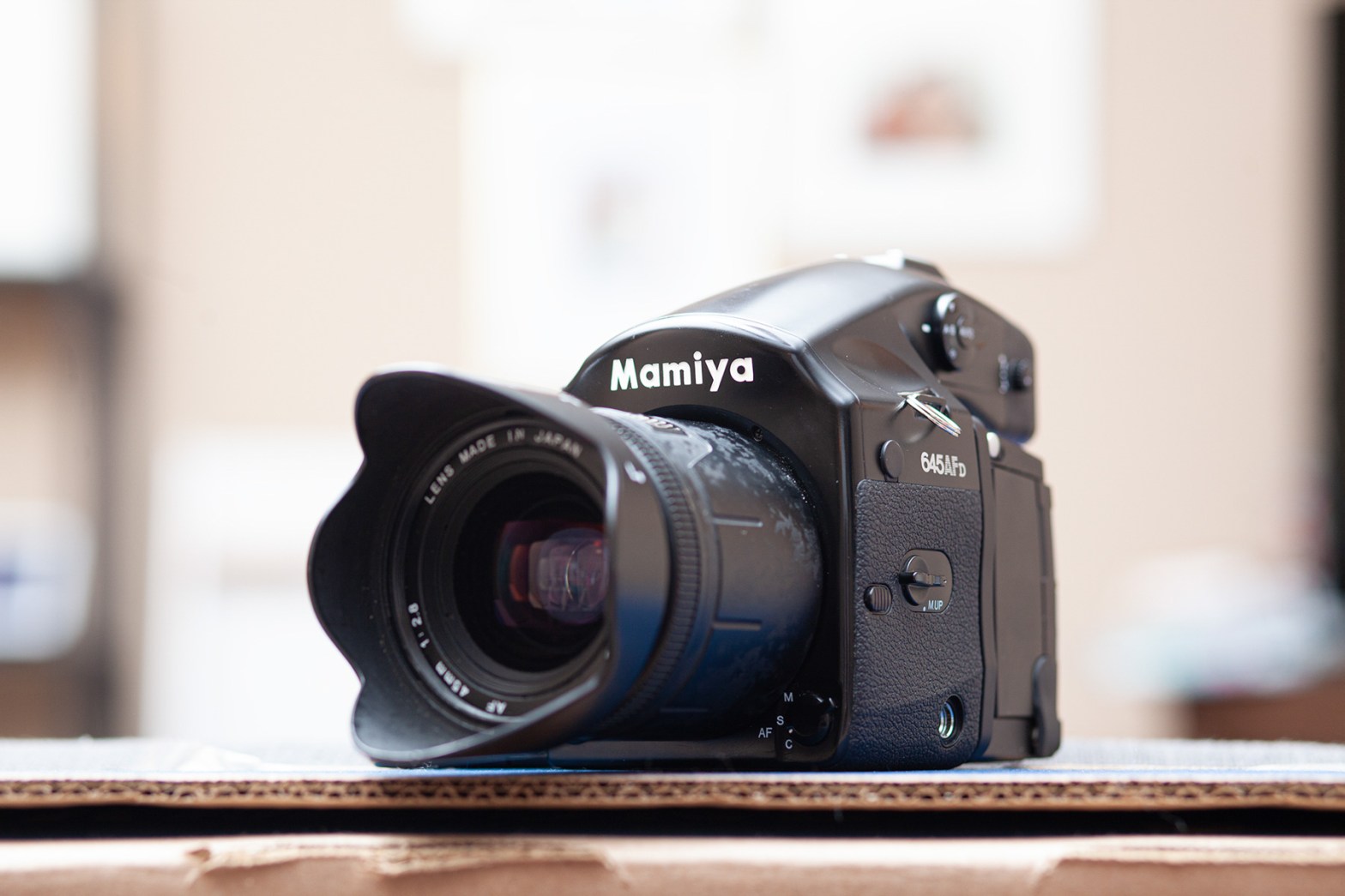 5 Frames… With ILFORD XP2 SUPER (EI 1600 / 120 format / Mamiya 645 AFD)