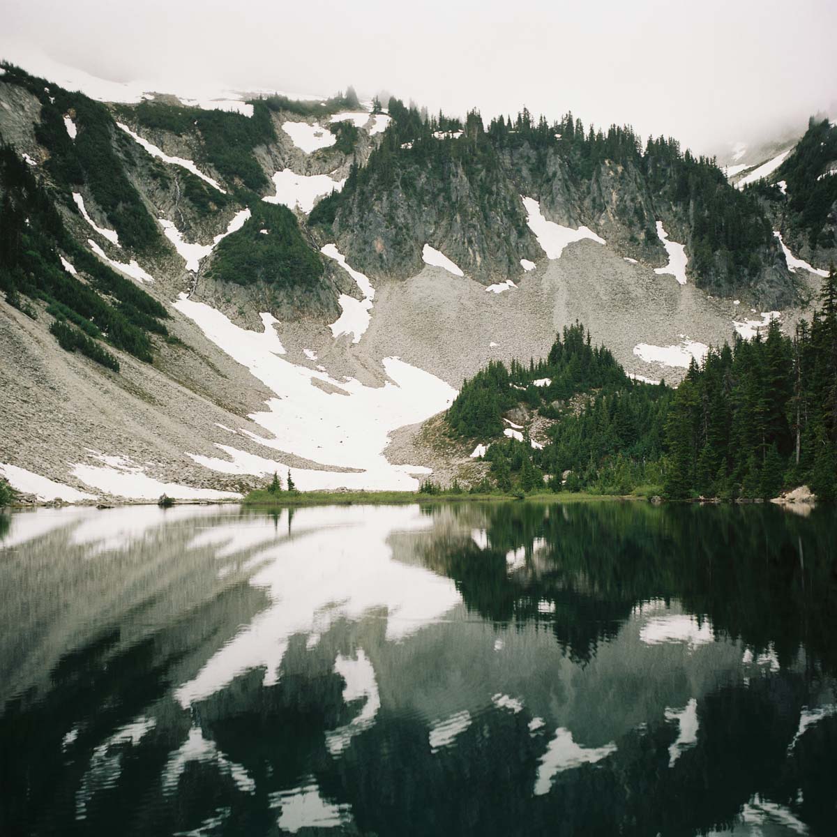 5 Frames... Of the Pacific Northwest with Kodak Portra 400 (EI 400 / 120 format / Yashica-Mat 124G - by Gabi Roozee