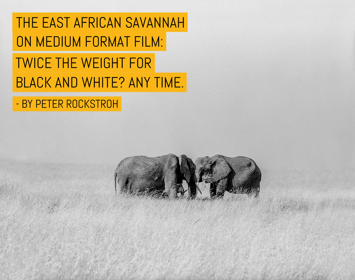 The East African Savannah on medium format film: Twice the weight for black and white? Any time.