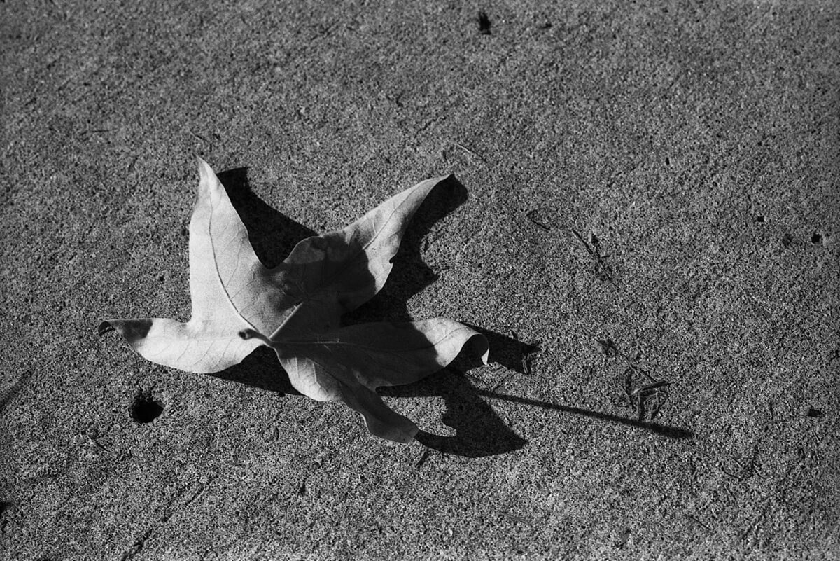 5 Frames… Of Kodak Plus-X Aerecon II 3404 (35mm format / EI 50 / Nikkormat FTN)