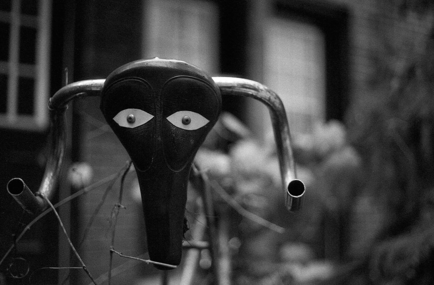 5 Frames… Of the apocalypse that never came (Holga 400 / 35mm Format / EI 400 / Canon A1)