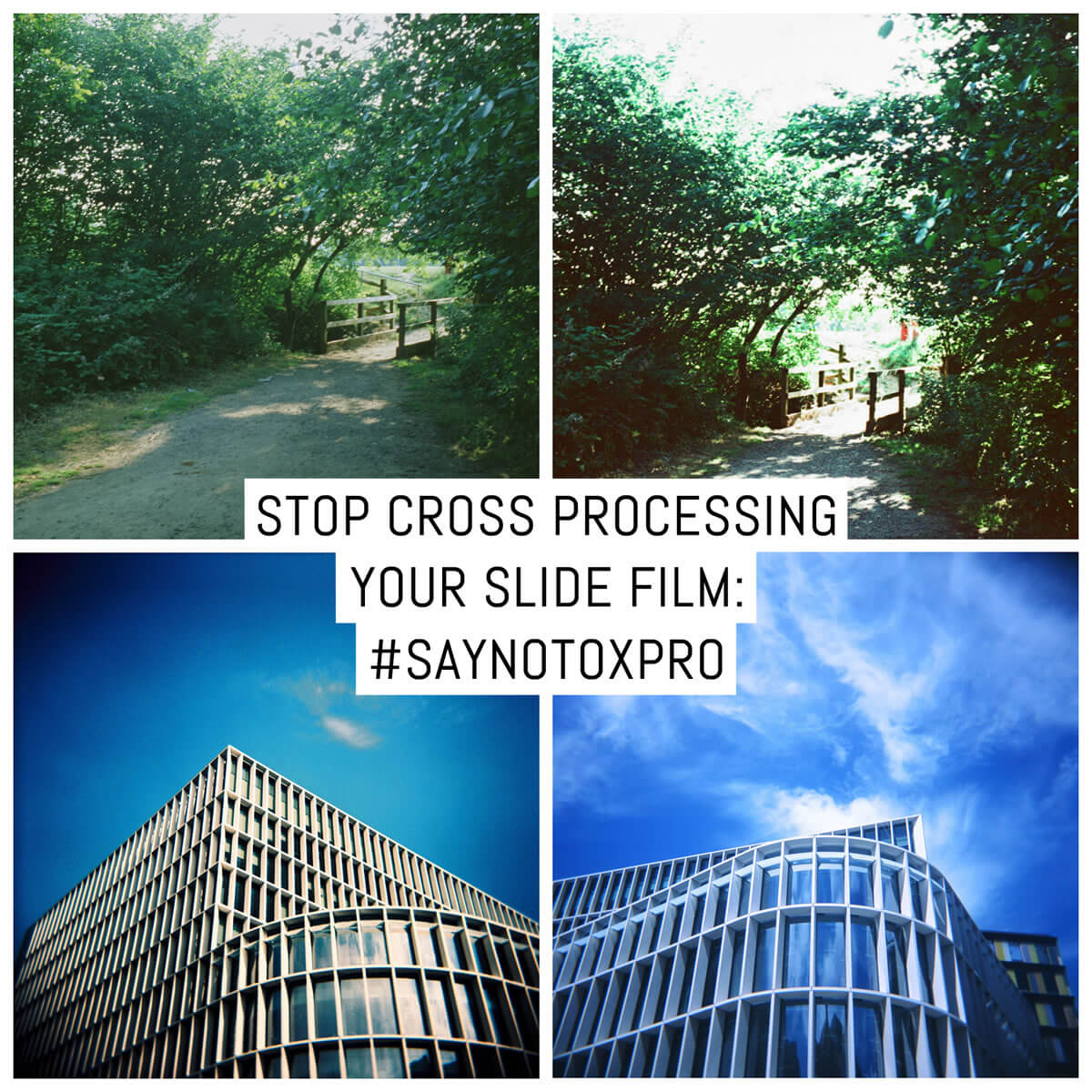 Stop cross processing your slide film: #Saynotoxpro