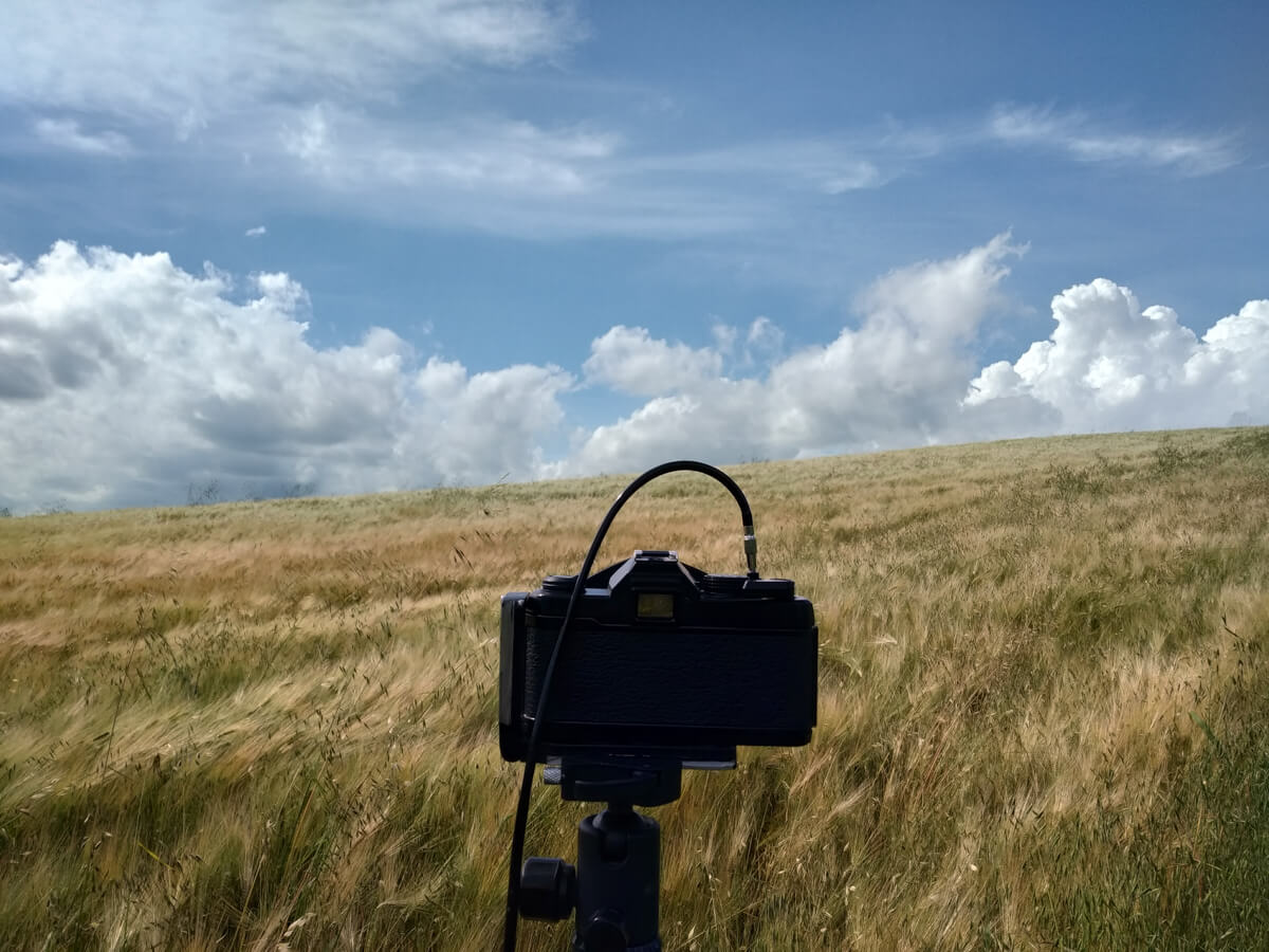 5 Frames… Of stunning Piedmont on Kodak Ektar 100 (35mm Format / EI 100 / Yashica FX-3 Super 2000 + Yashica ML 28mm f/2.8)