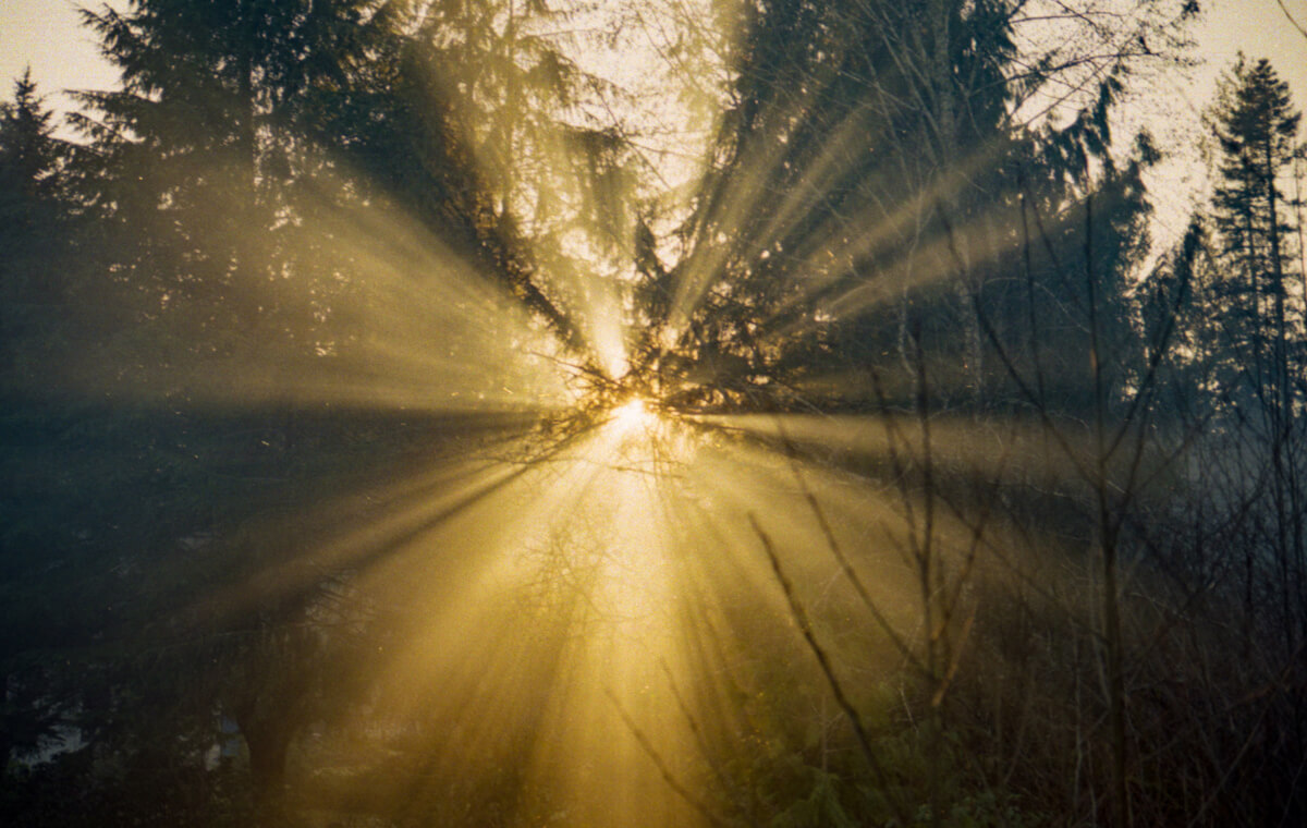 5 Frames… Of island life on Kodak Gold 200 (35mm Format / EI 200 / Leica M4-2)
