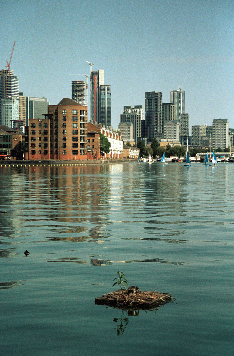 5 Frames... Along London’s Regents Canal and West End on Svema Color 125 (35mm Format / EI 125 / Canon EOS 300 + Canon 28-80 f/3.5-5.6) - by Cliff McMahon-Docherty
