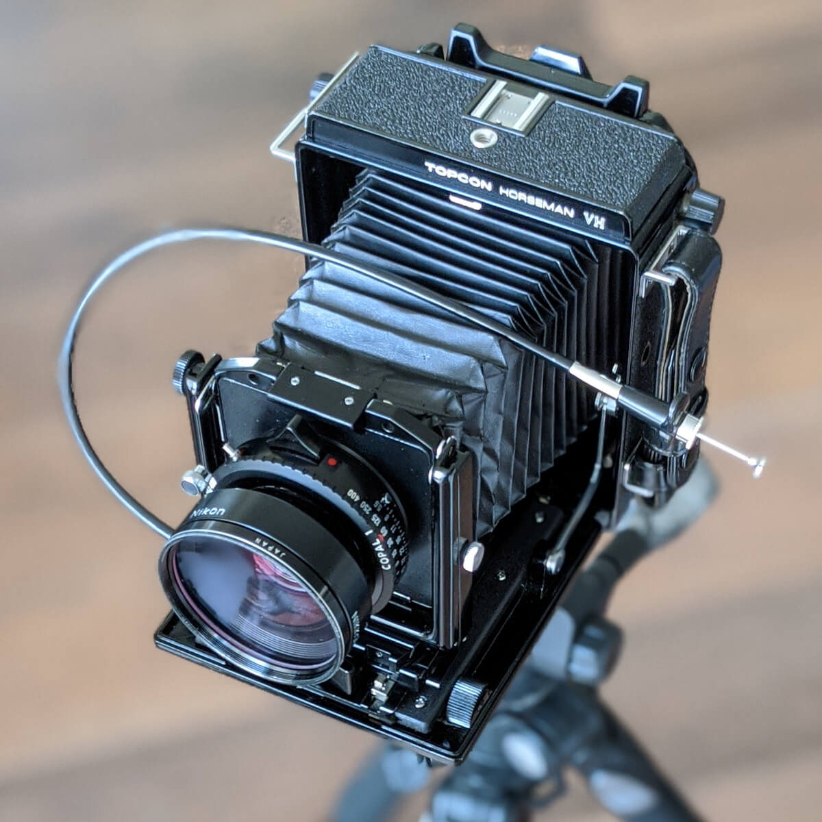 5 Frames… Of Kodak Ektar on a Horseman VH + Nikon Nikkor 210mm f/5.6 (120 format / EI 100)