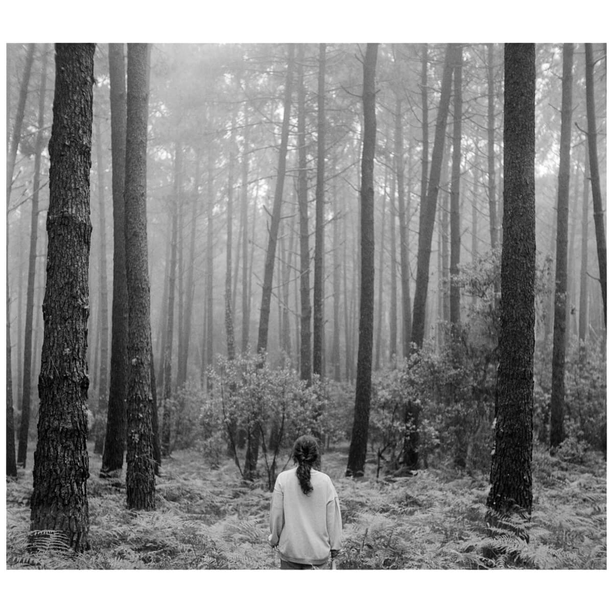 5 Frames… Of a foggy forest on an English TLR and Kodak Tri-X 400 (120 Format / EI 400 / MPP Microcord MKII + 77.5mm f/3.5 Ross Xpres)
