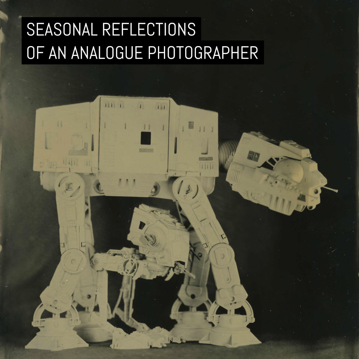 Seasonal Reflections of an Analogue Photographer