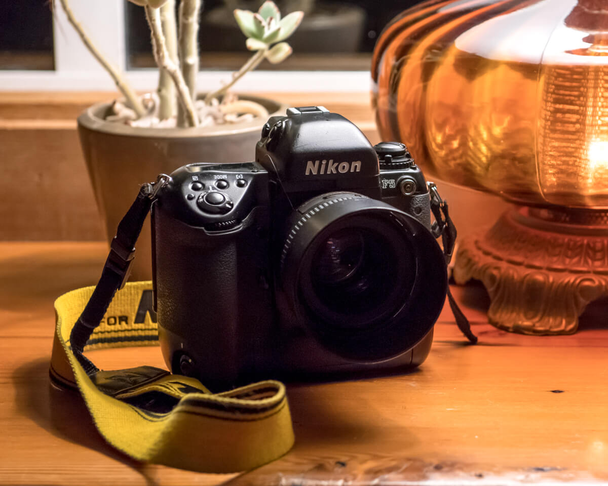 5 Frames… Of surreal colour with Lomography Lomochrome Purple XR 100-400 (35mm Format / EI 160 / Nikon F5 + Nikkor 50mm 1.4 G Af-S)