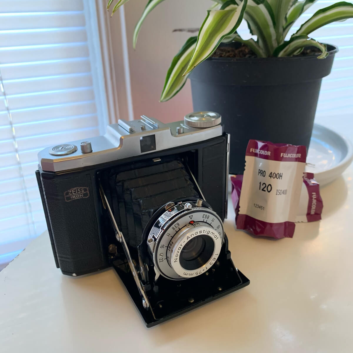 5 Frames… On Fujifilm Pro 400H on a Zeiss Ikon Nettar II 518/16 (EI 400 / 120 Format / Novar-anastigmat 75mm f/6.3)