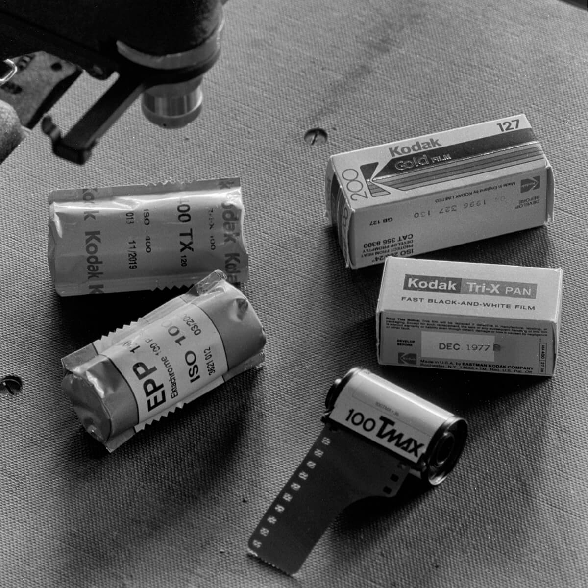 5 Frames… Of my return to black and white film photography on Kodak T-MAX 100 (35mm Format / EI 100 / Nikon N90 + NIKKOR 80-200mm f/4.0)