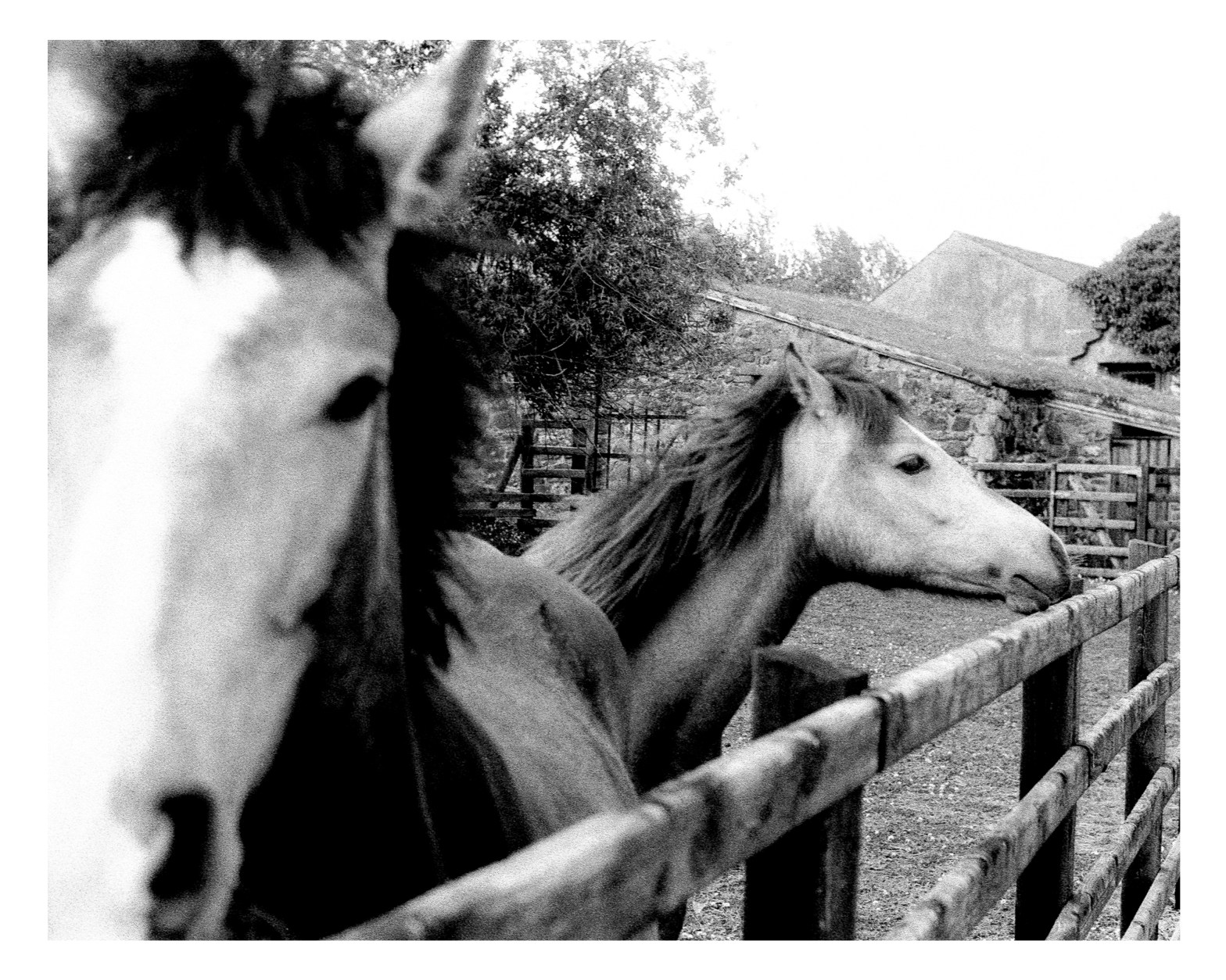 5 Frames… Of Ireland’s North East Coast on Fomapan 400 Action and a Canon FD 50mm f/1.8 S.C (35mm Format / El100 / Canon AE-1 Program)
