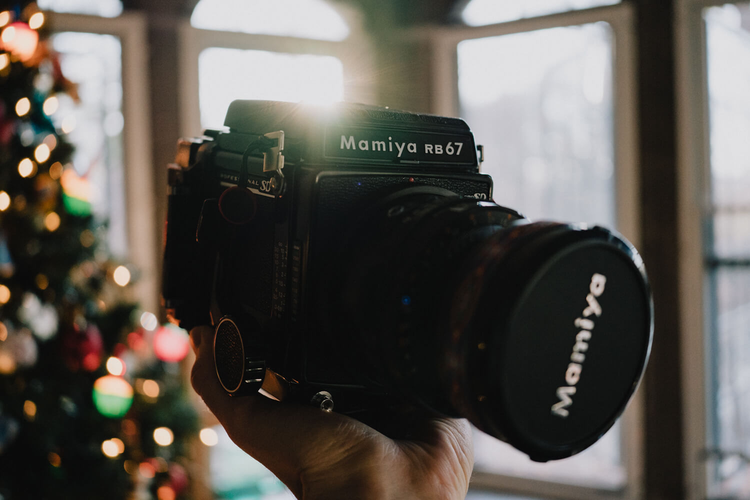 5 Frames… Around Vassar College, New York, on Kodak Portra 400 (120 format / EI 400 / Mamiya RB67 Pro SD + Mamiya-Sekor 180mm f/4.5 C)