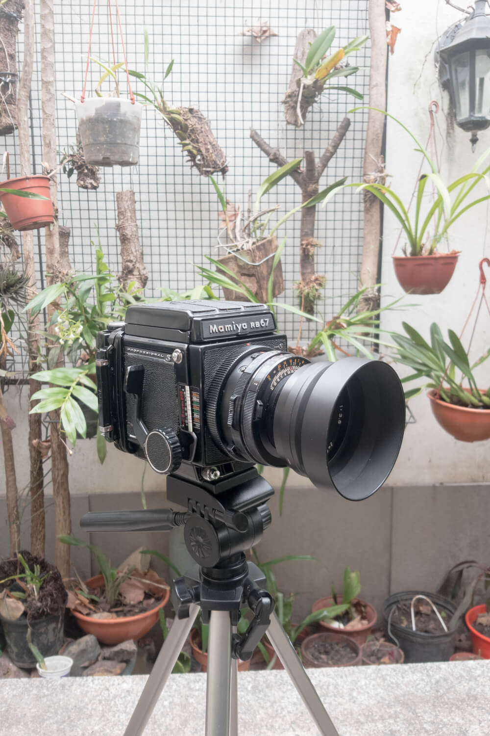 My first roll… On the cheapest (probably) Mamiya RB67 Pro S ever…and Fuji Pro 400H – Santiago Alvarez